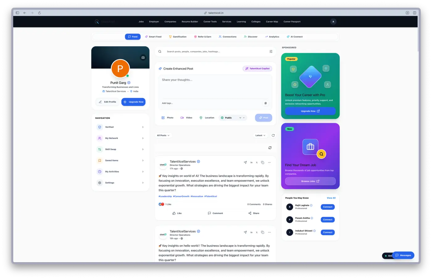 Talentxcel interface 3
